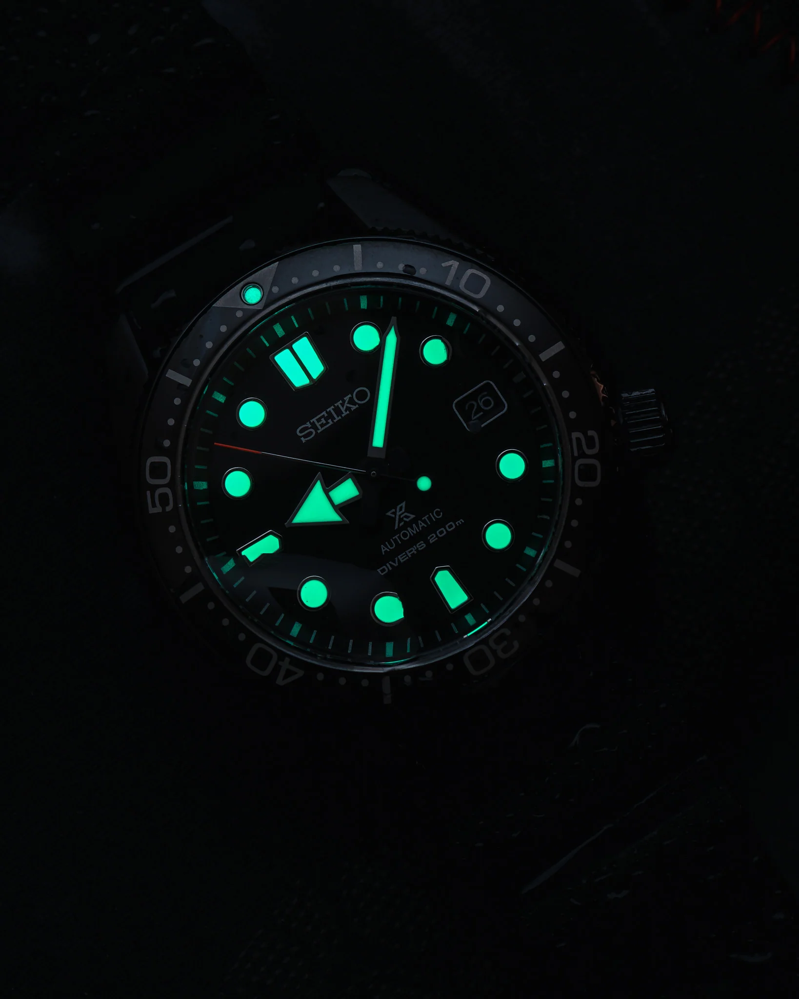 Seiko Prospex Diver SPB107 - Topper Limited Edition - Image 3
